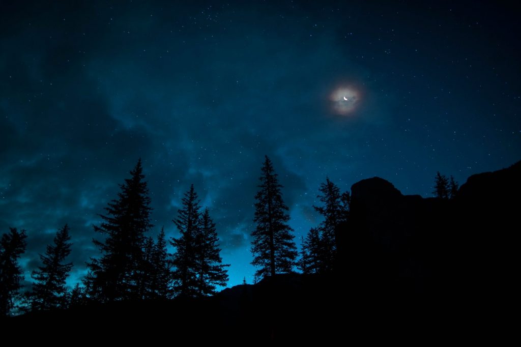 夜色,朦胧月色,森林,黑夜
