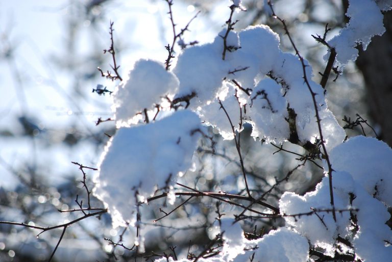 大雪节气
