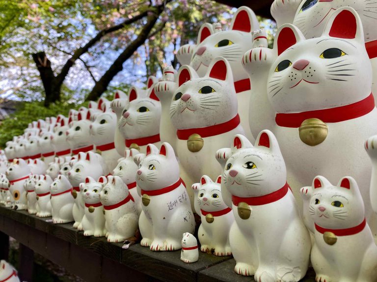 东京豪德寺招财猫