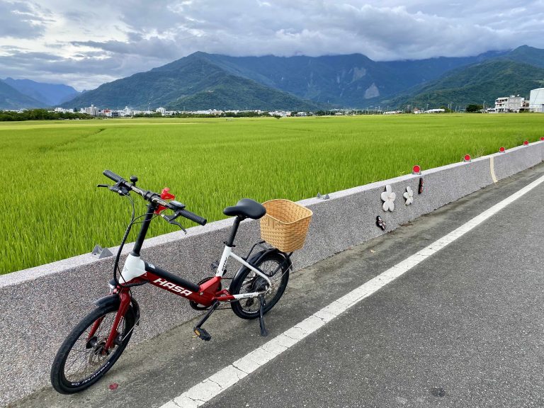 池上